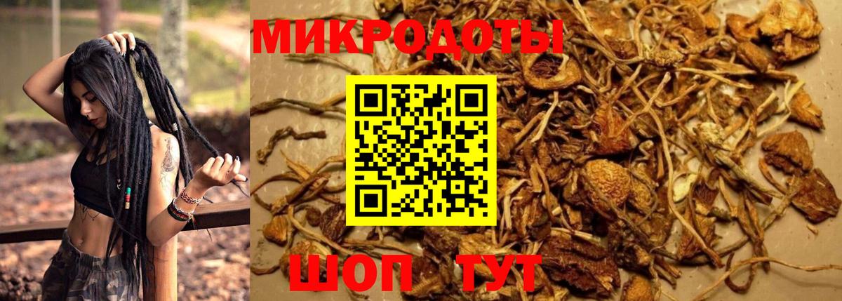 Псилоцибиновые грибы Psilocybine cubensis  Галлюциногенные грибы прущие грибы  купить наркоту  Вятские Поляны  Вход с VPN 